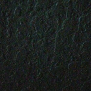 Meet your Posher, Laniya